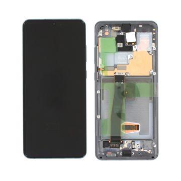 Samsung Galaxy S20 Ultra Display, grå (utan kamera)
