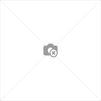 iPhone XS Max, Charging Connector Assembly black